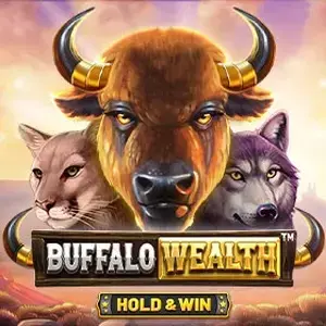 Buffalo Wealth Hold and Win